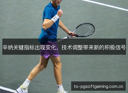 辛纳关键指标出现变化,技术调整带来新的积极信号 辛纳关键指标出现变化,技术调整带来新的积极信号